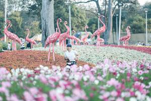 BIB: 
                            <button type="button" onclick="openModal(27344034)" class="btn btn-primary btn-sm float-right btn-popup" data-toggle="modal" data-target=".modal-high-quality">
                        <i class="fas fa-shopping-cart"></i> Add to Cart
                    </button>
                                            <button type="button" onclick="isThisMe(27344034, true)" class="btn btn-success btn-sm float-right btn-popup btn-isme hidden" data-toggle="tooltip" data-placement="bottom" title="นี่คือรูปของคุณใช่ไหม คลิกที่นี่เพื่อเอาเข้าอัลบั้ม">
                        <i class="fas fa-plus"></i> Add to album
                    </button>
                    <button type="button" onclick="isThisMe(27344034, false)" class="btn btn-warning btn-sm float-right btn-popup btn-isnotme hidden">
                        <i class="fas fa-ban"></i> Remove from album
                    </button>